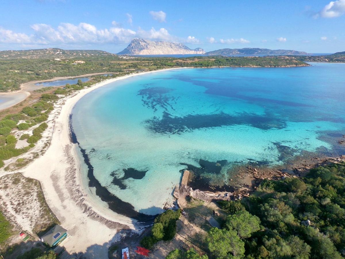 Iss Travel, Gli Asfodeli - Large Apartments With Private Terrace San Teodoro  Zewnętrze zdjęcie