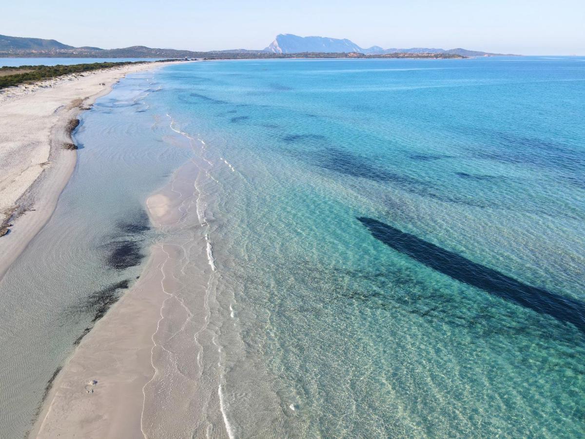 Iss Travel, Gli Asfodeli - Large Apartments With Private Terrace San Teodoro  Zewnętrze zdjęcie